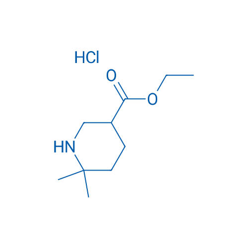 Ethyl 6,6-dimethylpiperidine-3-carboxylate hydrochloride 1g