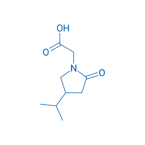 2-(4-Isopropyl-2-oxopyrrolidin-1-yl)acetic acid 1g