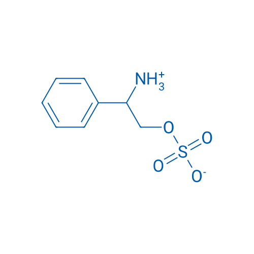 2-Ammonio-2-phenylethyl sulfate 1g