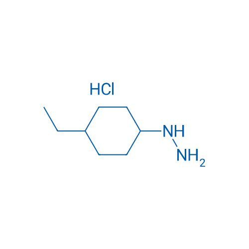 (4-ethylcyclohexyl)hydrazine hydrochloride 1g