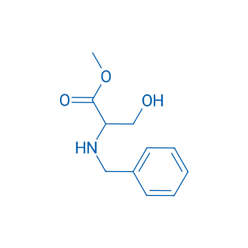 Methyl benzyl-DL-serinate 5g