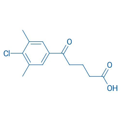 5-(4-Chloro-3,5-dimethylphenyl)-5-oxopentanoic acid 1g