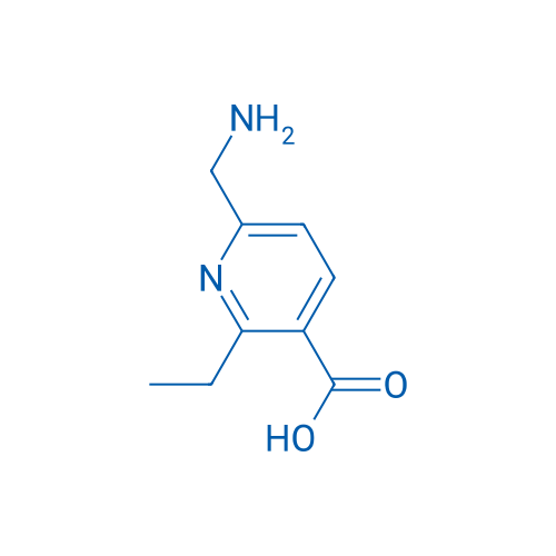 6-(Aminomethyl)-2-ethylpyridine-3-carboxylic acid 1g