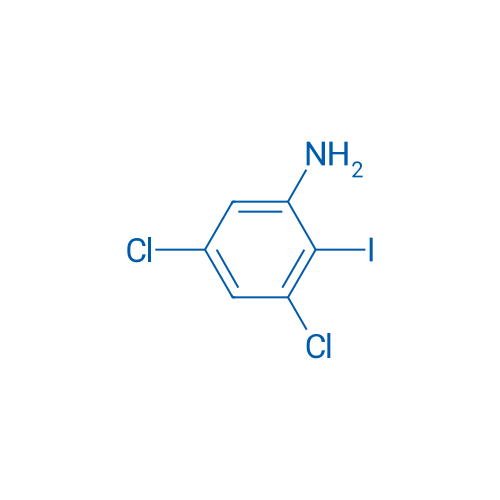 3,5-Dichloro-2-iodoaniline 25g