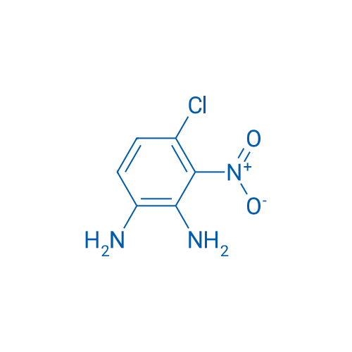 4-Chloro-3-nitrobenzene-1,2-diamine 1g