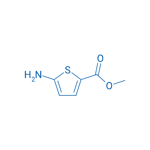 Methyl 5-aminothiophene-2-carboxylate 25g