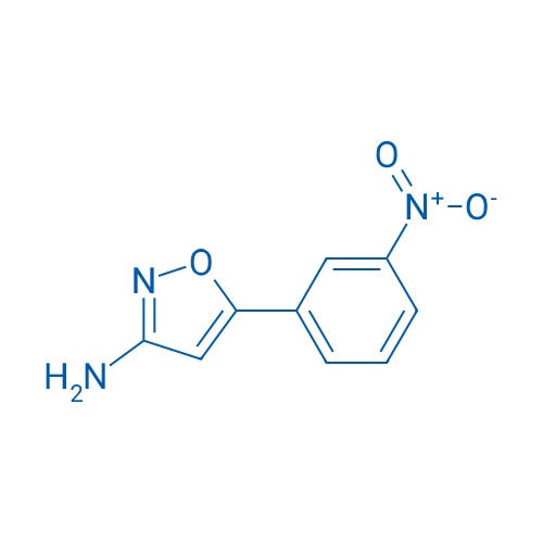 5-(3-Nitrophenyl)isoxazol-3-amine 1g
