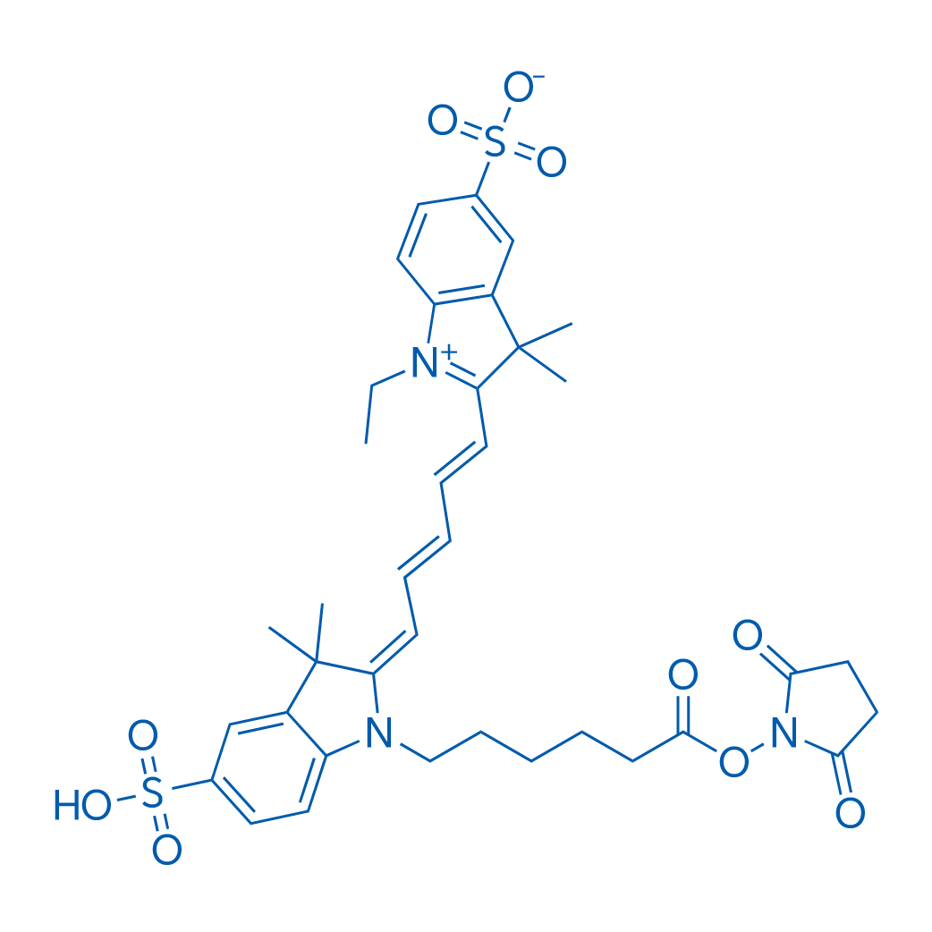 CY5-SE 50mg
