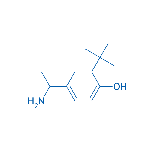 4-(1-Aminopropyl)-2-tert-butylphenol 1g