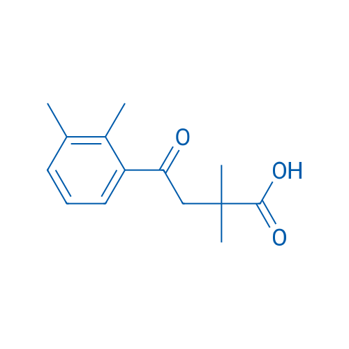 2,2-Dimethyl-4-(2,3-dimethylphenyl)-4-oxobutyric acid 1g