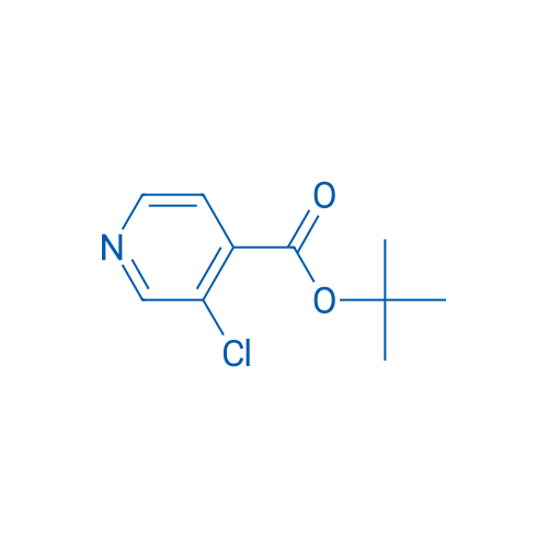 tert-Butyl 3-chloroisonicotinate 100mg