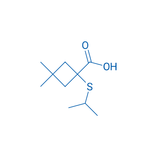3,3-Dimethyl-1-(propan-2-ylsulfanyl)cyclobutane-1-carboxylic acid 1g