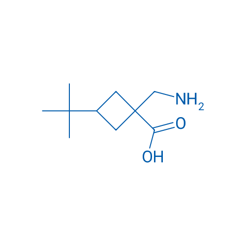 1-(Aminomethyl)-3-tert-butylcyclobutane-1-carboxylic acid 1g