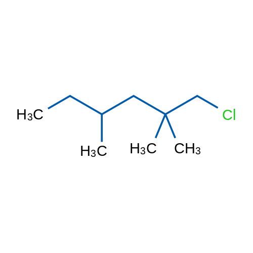 1-Chloro-2,2,4-trimethylhexane 1g