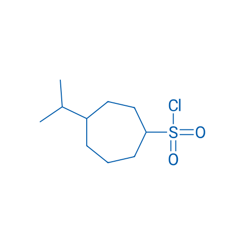 4-(Propan-2-yl)cycloheptane-1-sulfonyl chloride 1g