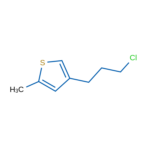 4-(3-Chloropropyl)-2-methylthiophene 1g