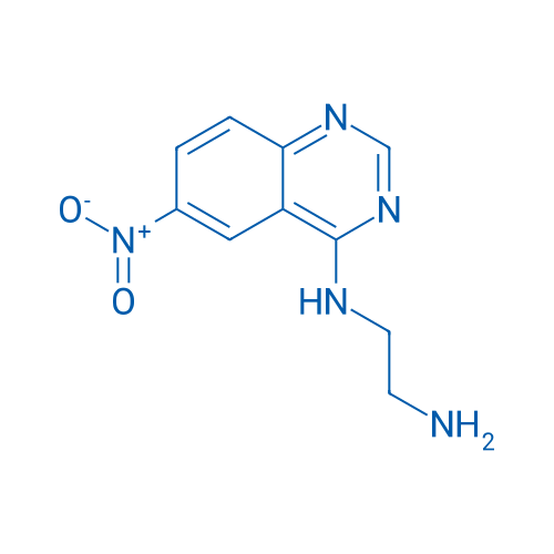 N-(2-Aminoethyl)-6-nitroquinazolin-4-amine 1g