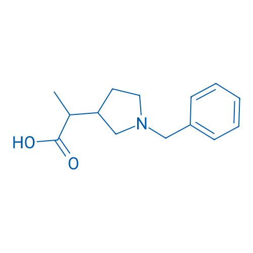 2-(1-Benzylpyrrolidin-3-yl)propanoic acid 1g