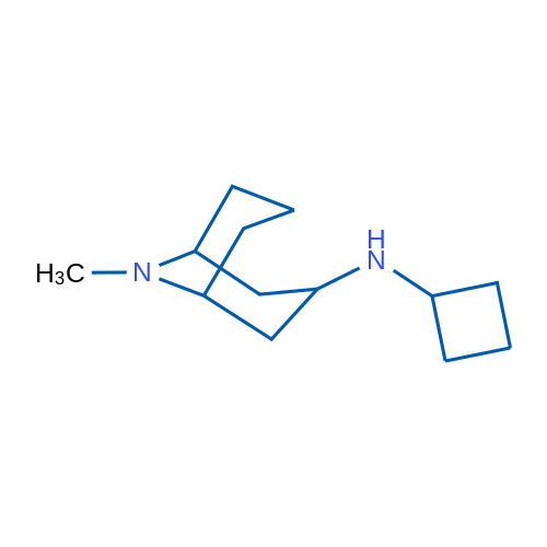 N-Cyclobutyl-9-methyl-9-azabicyclo[3.3.1]nonan-3-amine 1g