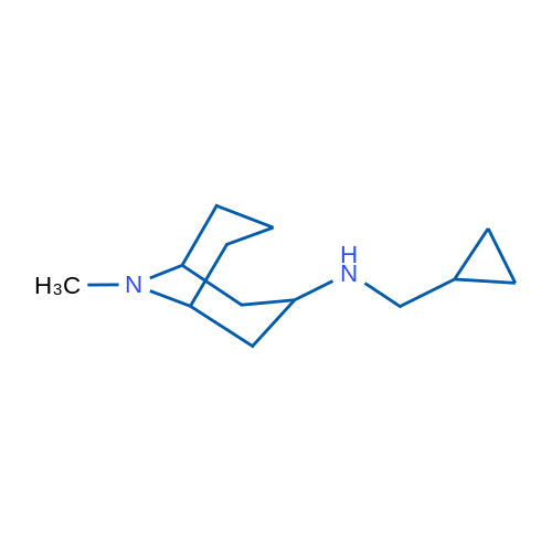 N-(Cyclopropylmethyl)-9-methyl-9-azabicyclo[3.3.1]nonan-3-amine 1g