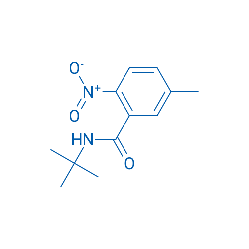 N-tert-Butyl-5-methyl-2-nitrobenzamide 5g