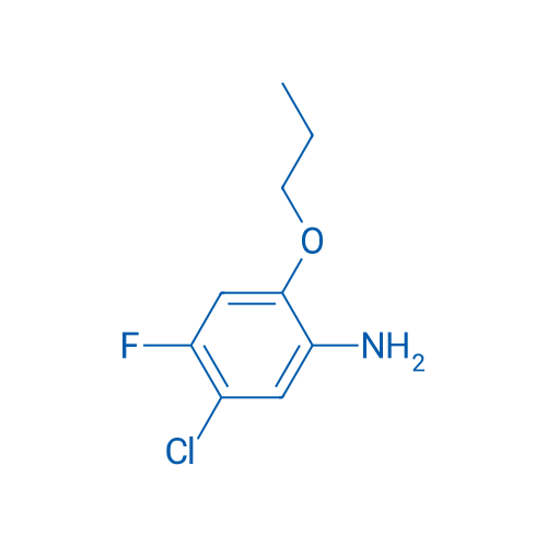 5-Chloro-4-fluoro-2-propoxyaniline 1g