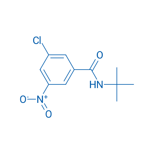 N-tert-Butyl-3-chloro-5-nitrobenzamide 1g