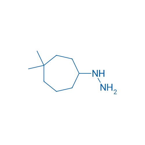 (4,4-Dimethylcycloheptyl)hydrazine 1g