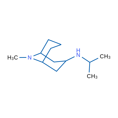9-Methyl-N-(propan-2-yl)-9-azabicyclo[3.3.1]nonan-3-amine 1g