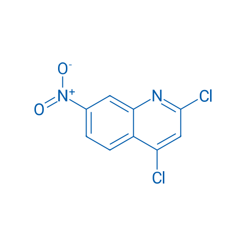2,4-Dichloro-7-nitroquinoline 1g