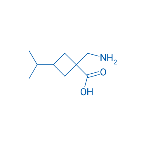 1-(Aminomethyl)-3-(propan-2-yl)cyclobutane-1-carboxylic acid 1g