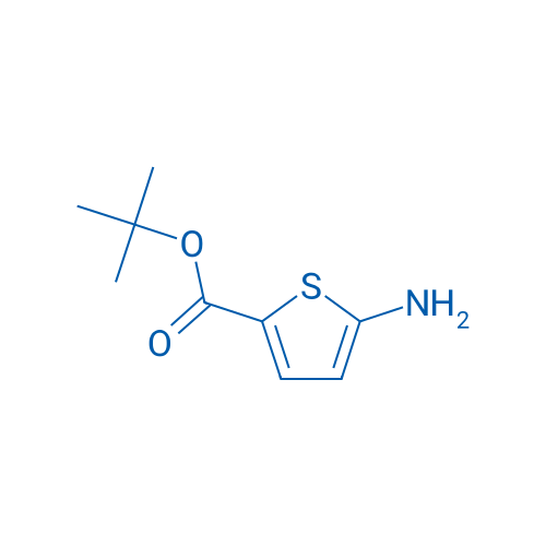 tert-Butyl 5-aminothiophene-2-carboxylate 100mg