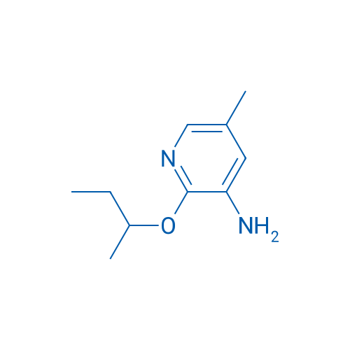 2-(Butan-2-yloxy)-5-methylpyridin-3-amine 1g