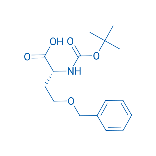 Boc-D-Hse(Bzl)-OH 250mg