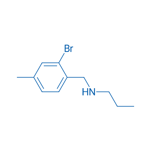 [(2-Bromo-4-methylphenyl)methyl](propyl)amine 1g