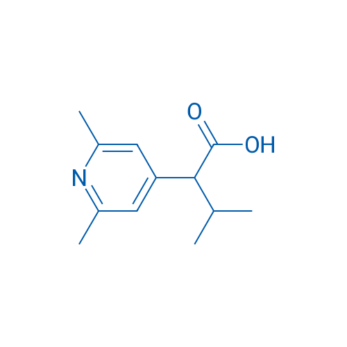 2-(2,6-Dimethylpyridin-4-yl)-3-methylbutanoic acid 1g