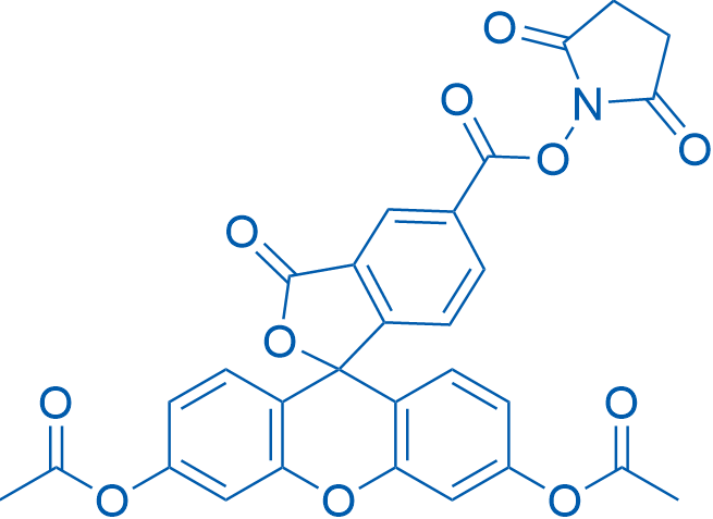 5-Carboxyfluorescein diacetate N-succinimidyl ester 100mg