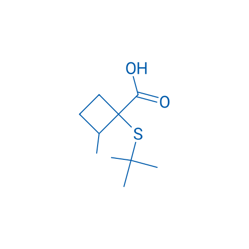 1-(tert-Butylsulfanyl)-2-methylcyclobutane-1-carboxylic acid 1g