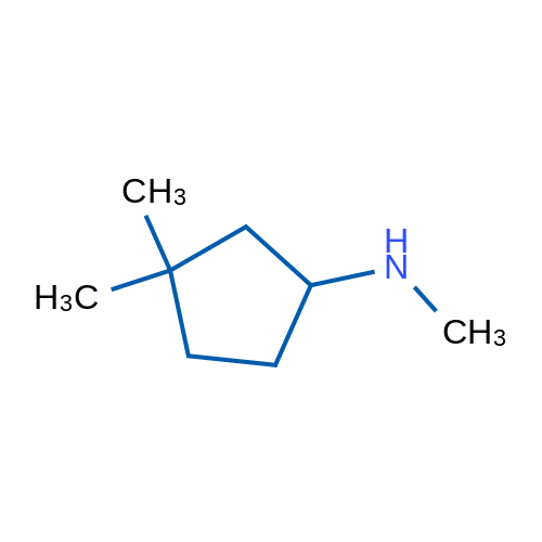 N,3,3-Trimethylcyclopentan-1-amine 1g