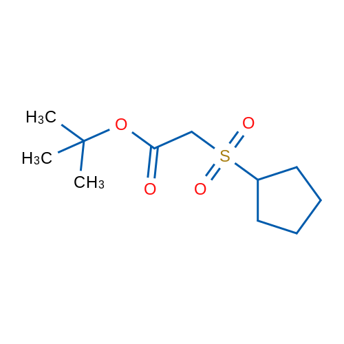 tert-Butyl 2-(cyclopentylsulfonyl)acetate 1g