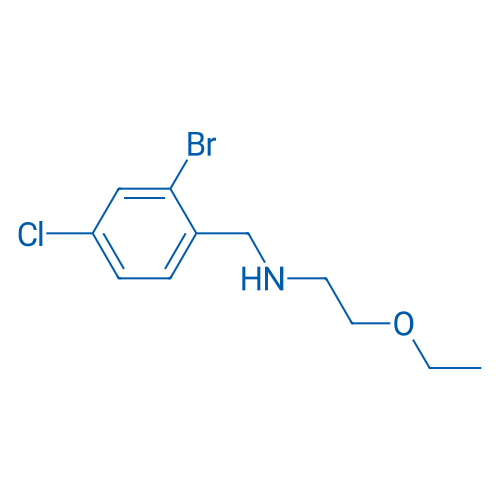 [(2-Bromo-4-chlorophenyl)methyl](2-ethoxyethyl)amine 5g