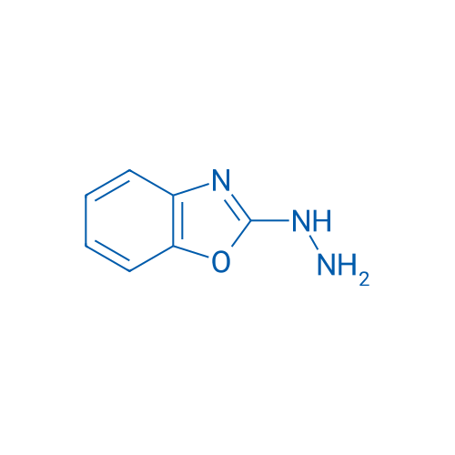 2-Hydrazino-1,3-benzoxazole 10g
