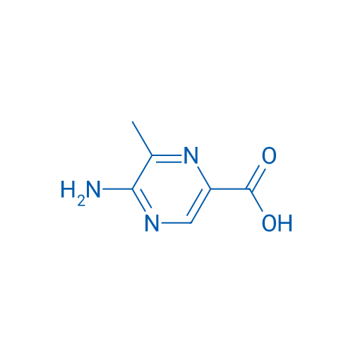 5-amino-6-methylpyrazine-2-carboxylic acid 1g