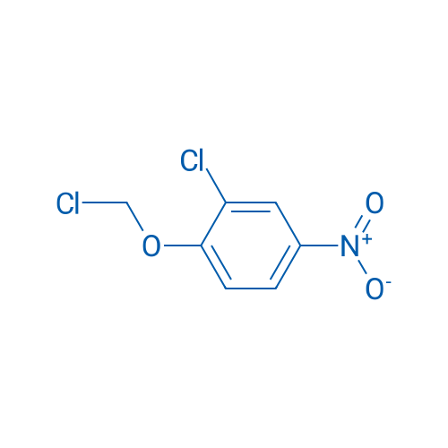 2-Chloro-1-(chloromethoxy)-4-nitrobenzene 1g