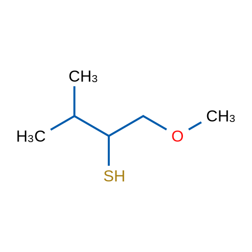 1-Methoxy-3-methylbutane-2-thiol 1g