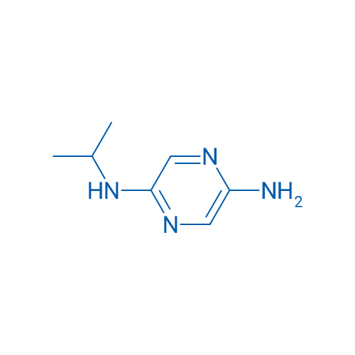 N2-Isopropylpyrazine-2,5-diamine 1g
