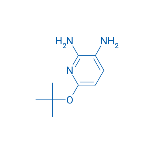 6-(tert-Butoxy)pyridine-2,3-diamine 1g