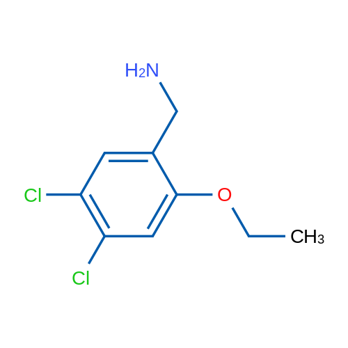 (4,5-Dichloro-2-ethoxyphenyl)methanamine 1g