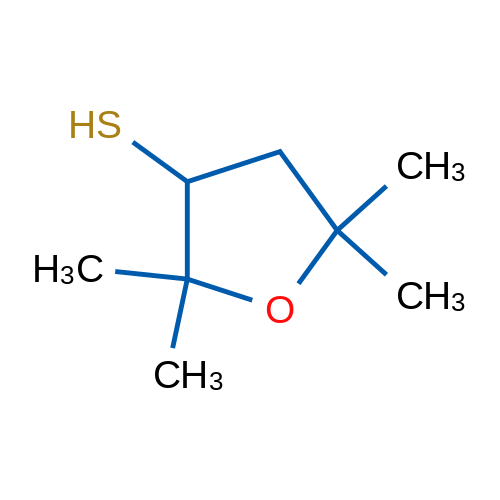 2,2,5,5-Tetramethyloxolane-3-thiol 1g