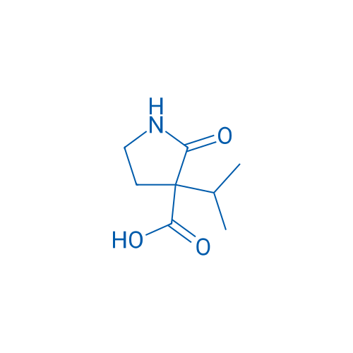 2-Oxo-3-(propan-2-yl)pyrrolidine-3-carboxylic acid 1g